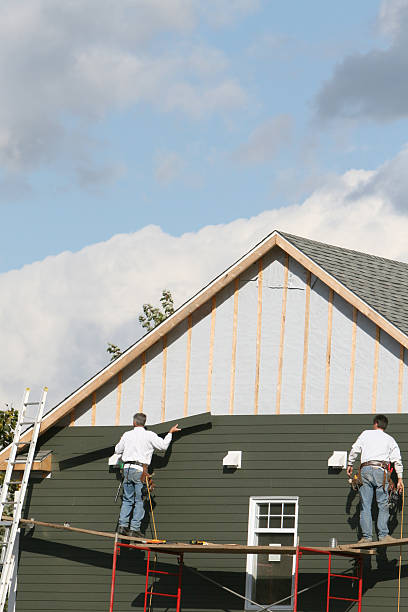 Same-Day Junk Removal Services in Auburn, IL